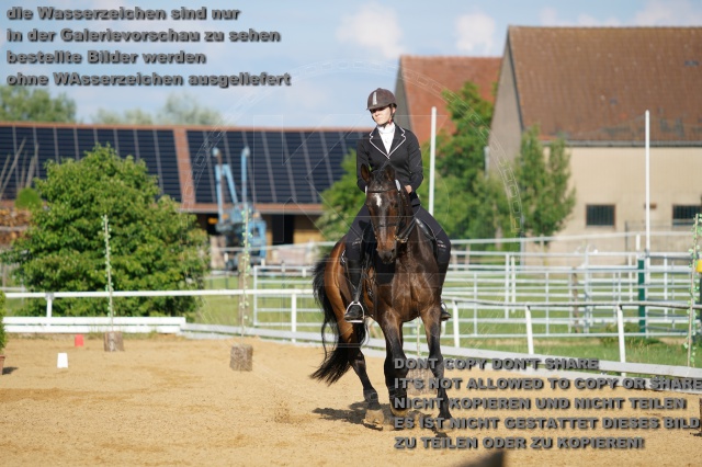 s_K3F05249.JPG